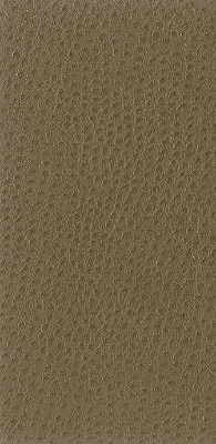 nuostrich1060-kravet-basics-nuostrich-106