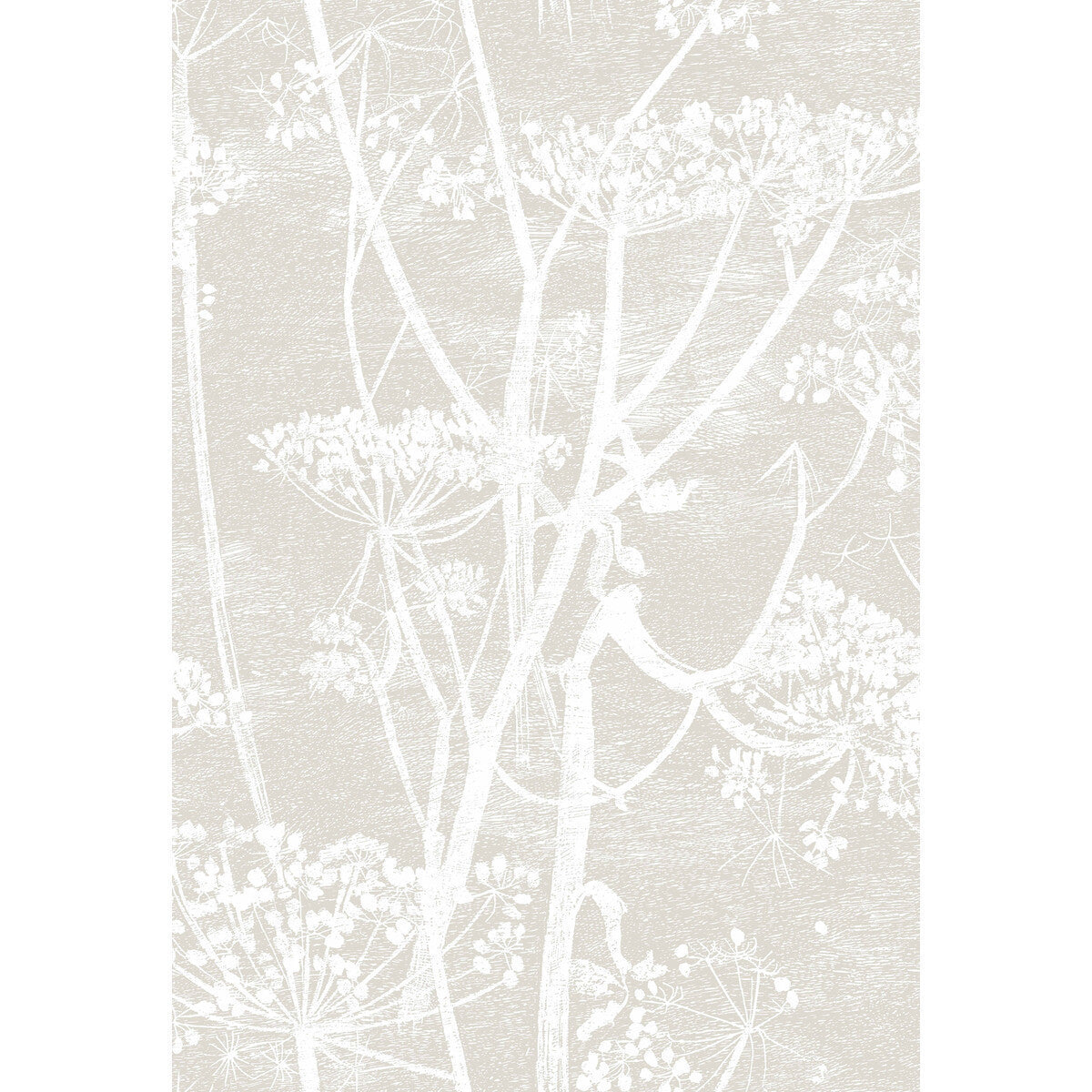 959051cs0-cow-parsley-linenwhite-cole-son - COLE & SON Wallpaper