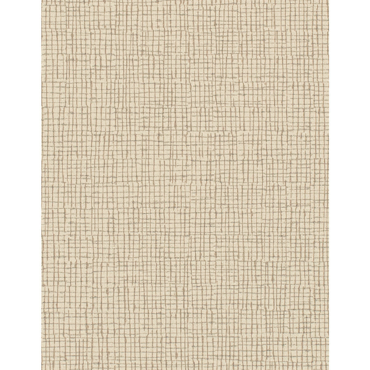 wtn1015wt0-canvas-tapioca-winfield-thybony - WINFIELD THYBONY Wallpaper