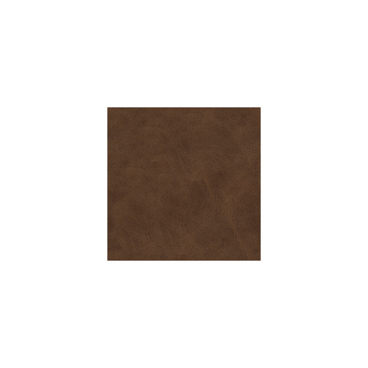 l-sombrerowhiskey0-kravet-design-l-sombrero-whiskey-kravet-design