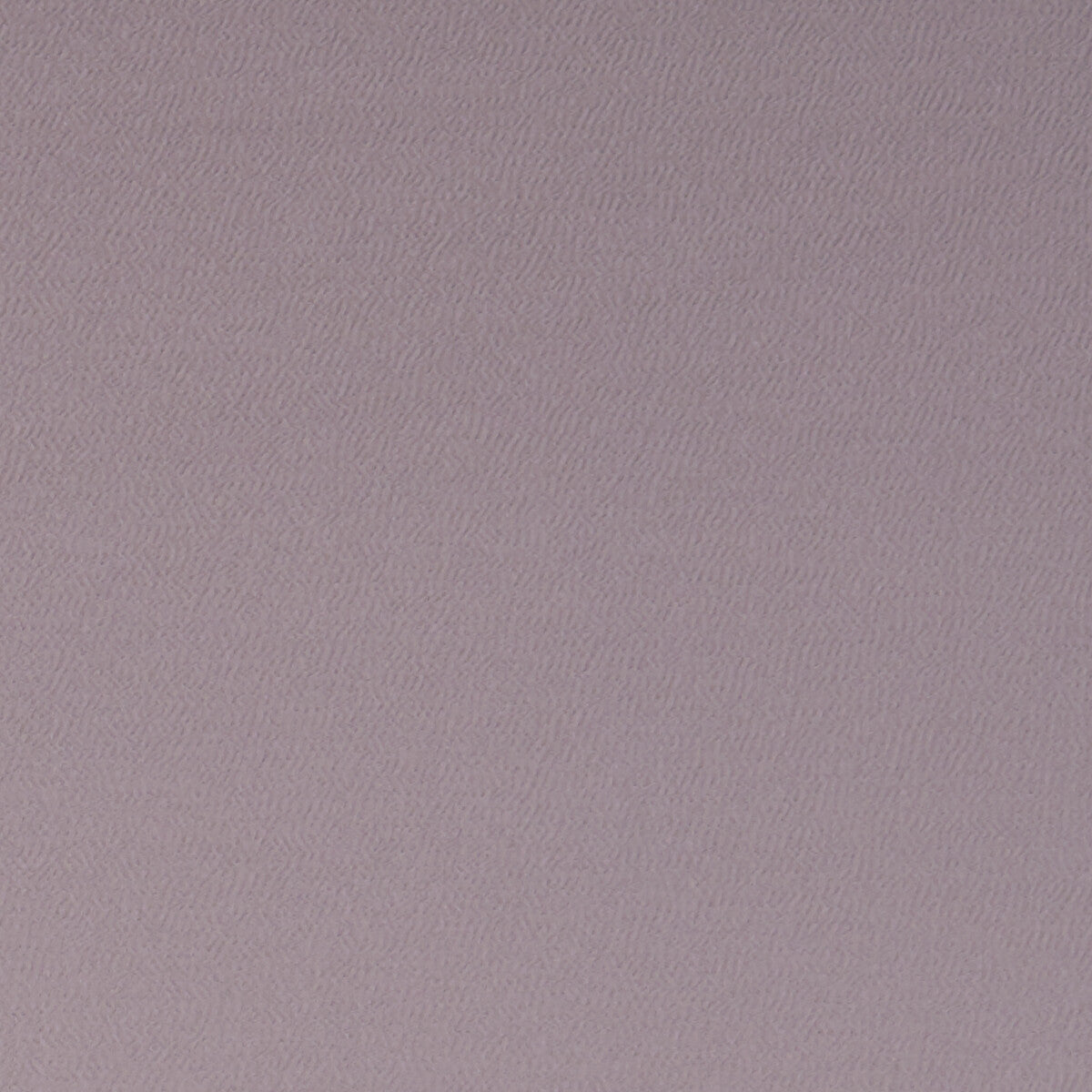 f106220cac0-spectrum-mauve-clarke-and-clarke - CLARKE AND CLARKE Fabric