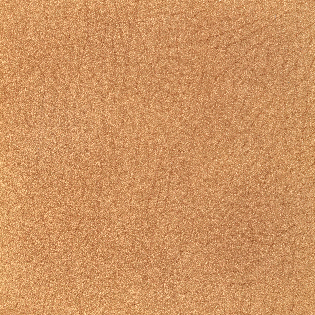 l-pampasdeer0-kravet-design-l-pampas-deer-kravet-design