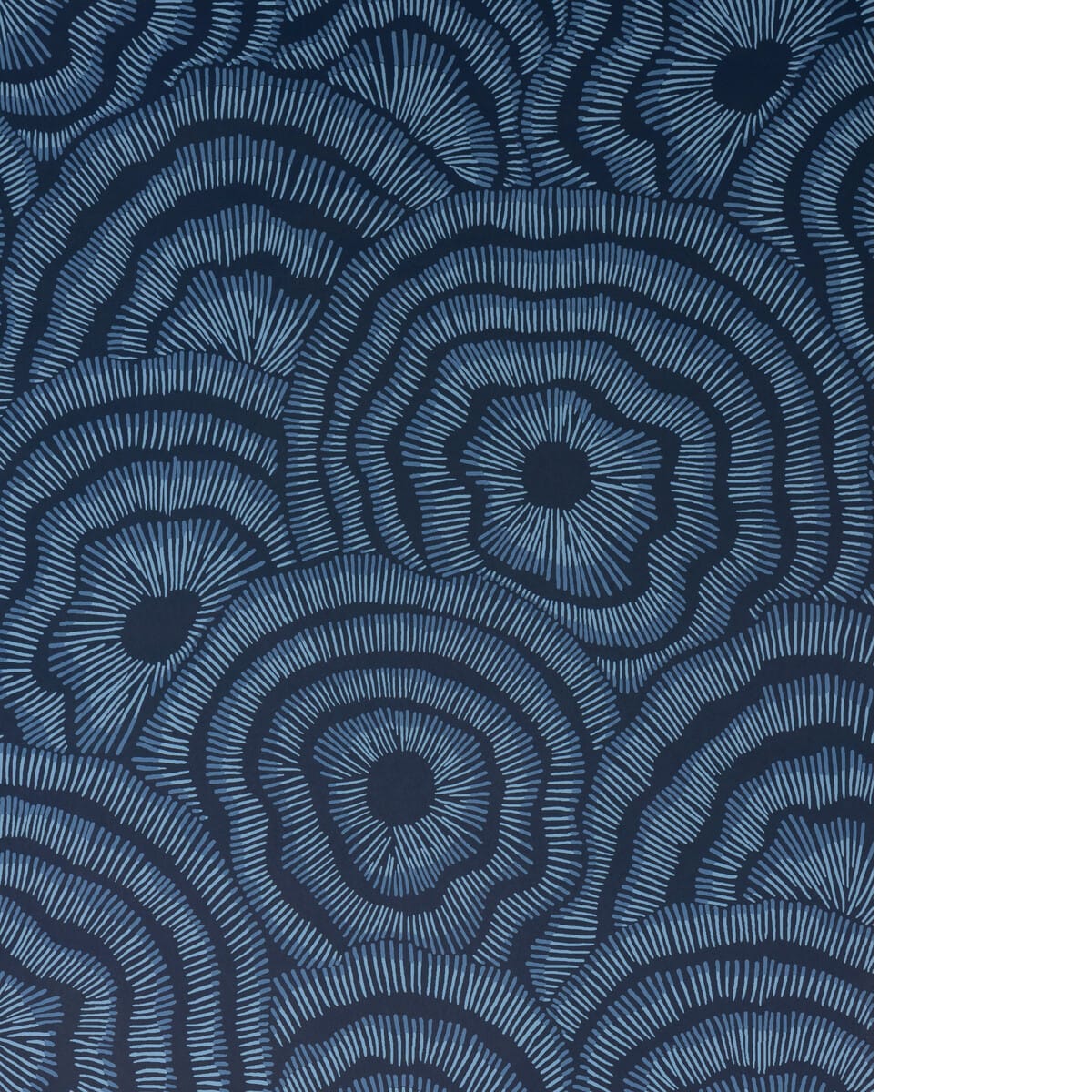 w38231550-panache-wp-ink-kravet-couture - KRAVET COUTURE Wallpaper