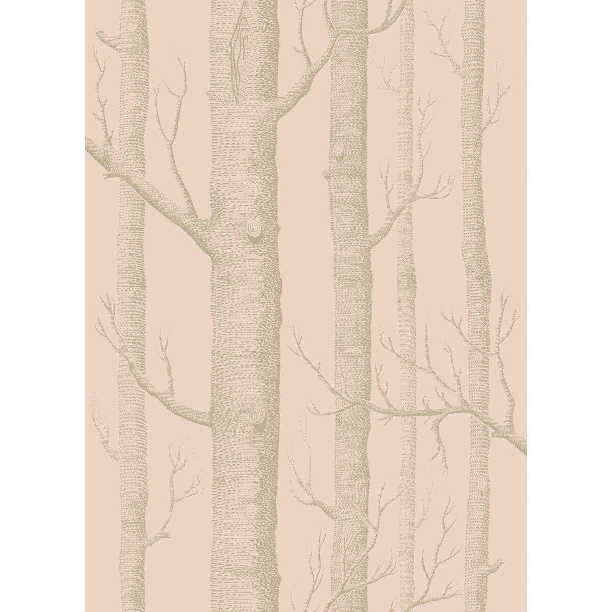 1035024cs0-woods-pinkgilver-cole-son - COLE & SON Wallpaper