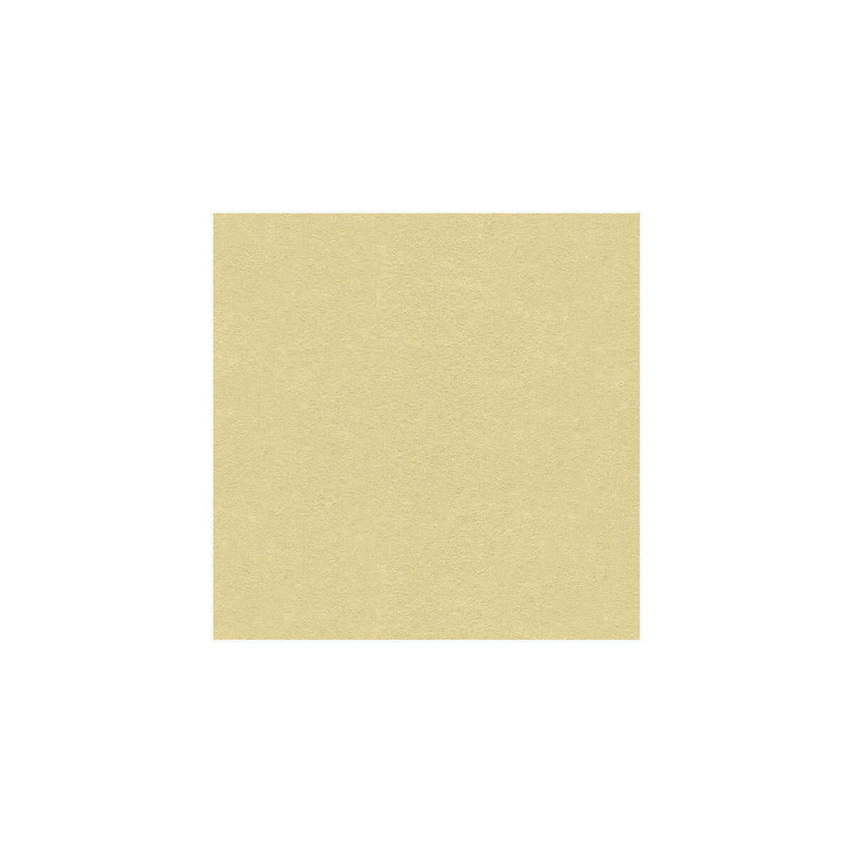 ultrasuede16110-ultrasuede-flax-kravet-design - KRAVET DESIGN Fabric