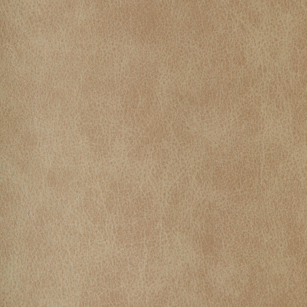 zenon110-kravet-design-zenon-11-kravet-design - KRAVET DESIGN Fabric