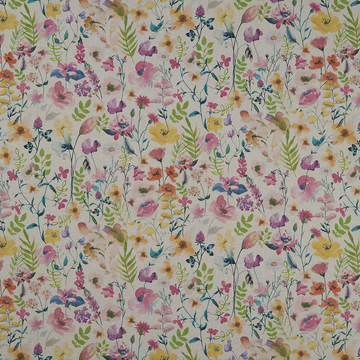 f116501cac0-lolita-summerlinen-clarke-and-clarke