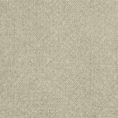 ed850832300-lorena-parchment-threads - THREADS Fabric