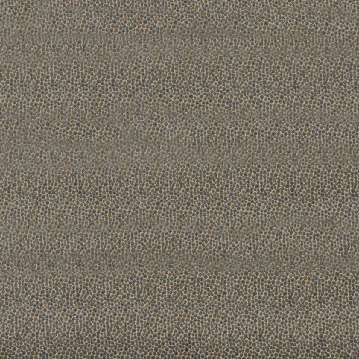 pf504249250-salsa-two-spot-silver-baker-lifestyle