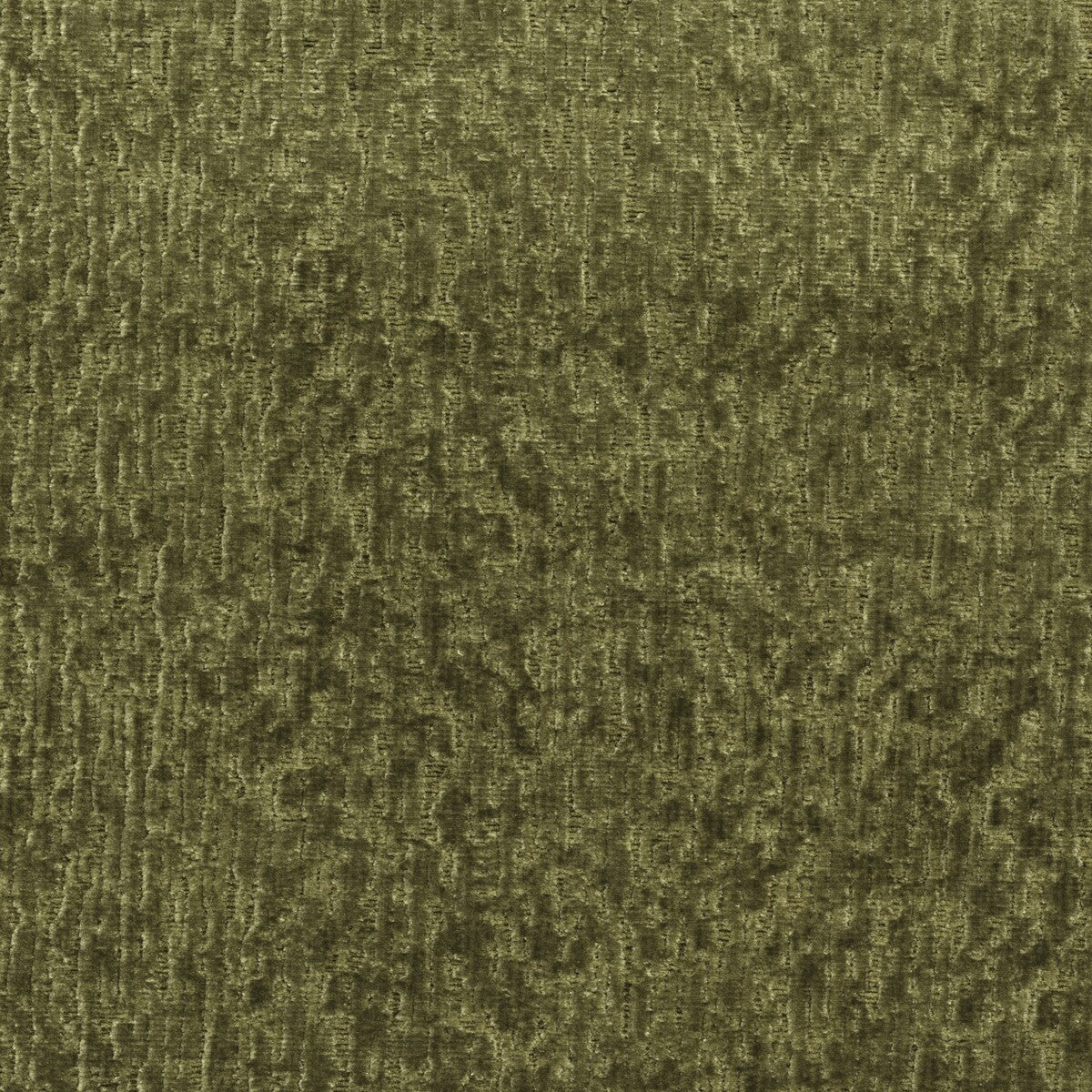 am10047430-roma-olive-kravet-couture - KRAVET COUTURE Fabric