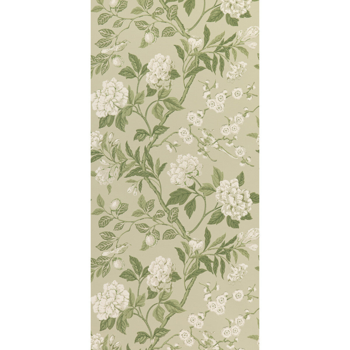 bw45000100-emperors-garden-soft-green-g-p-j-baker - G P & J BAKER Wallpaper