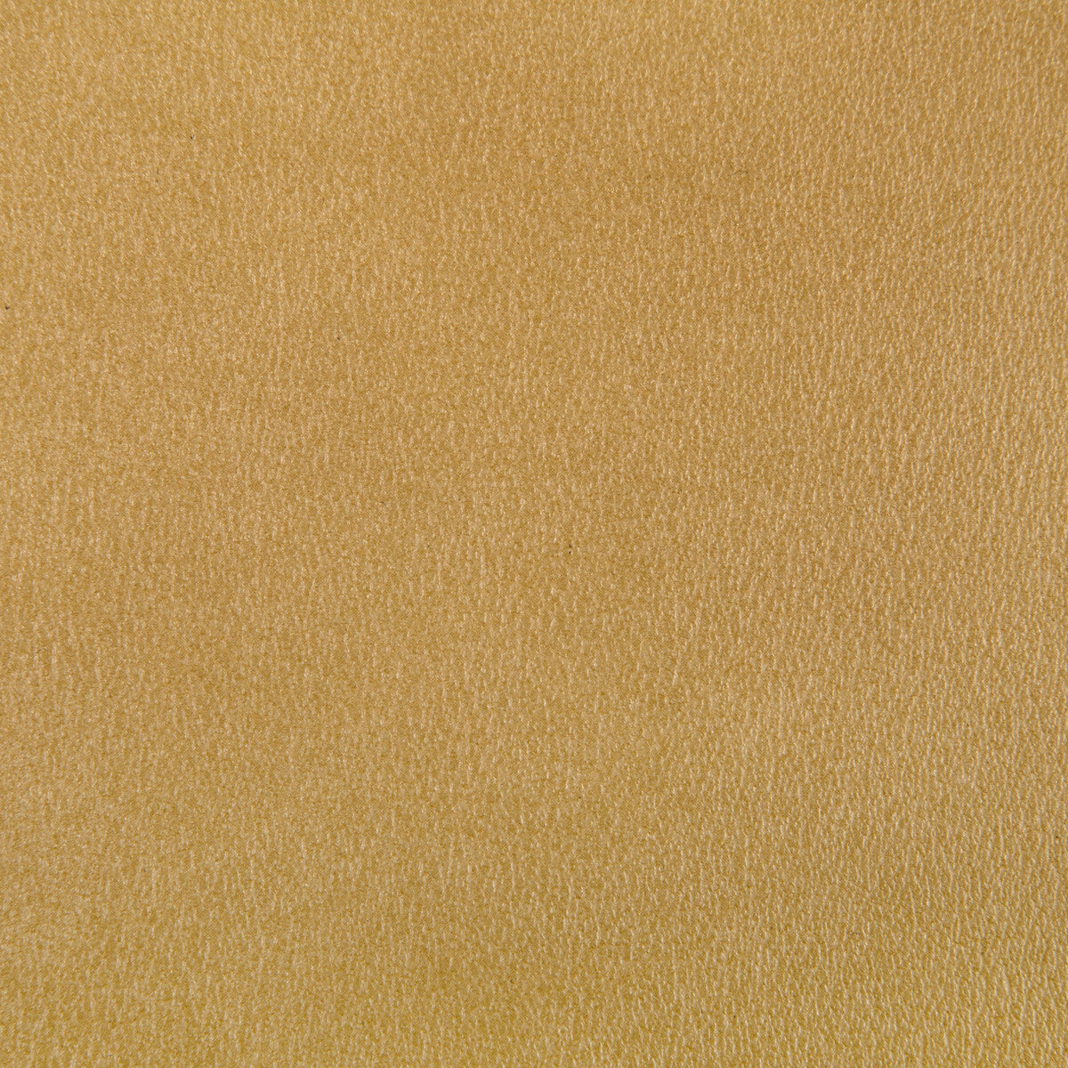agatha400-agatha-gilt-kravet-contract