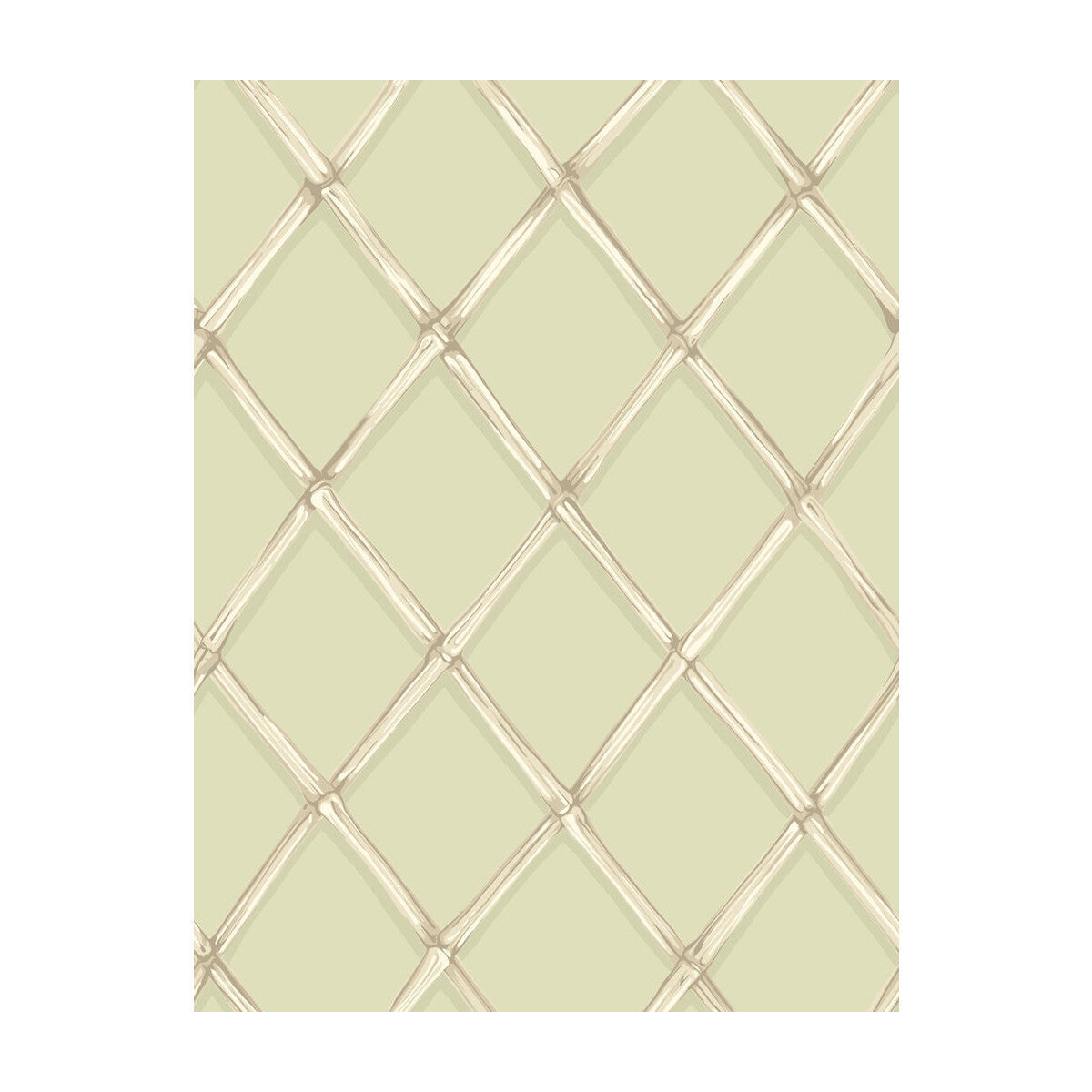 995026cs0-bagatelle-olive-cole-son