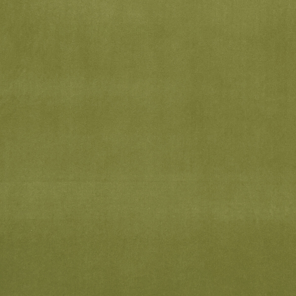 f075377cac0-alvar-leaf-clarke-and-clarke - CLARKE AND CLARKE Fabric