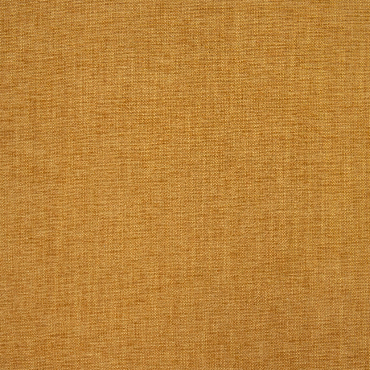 gdt56700210-moro-ocre-gaston-y-daniela