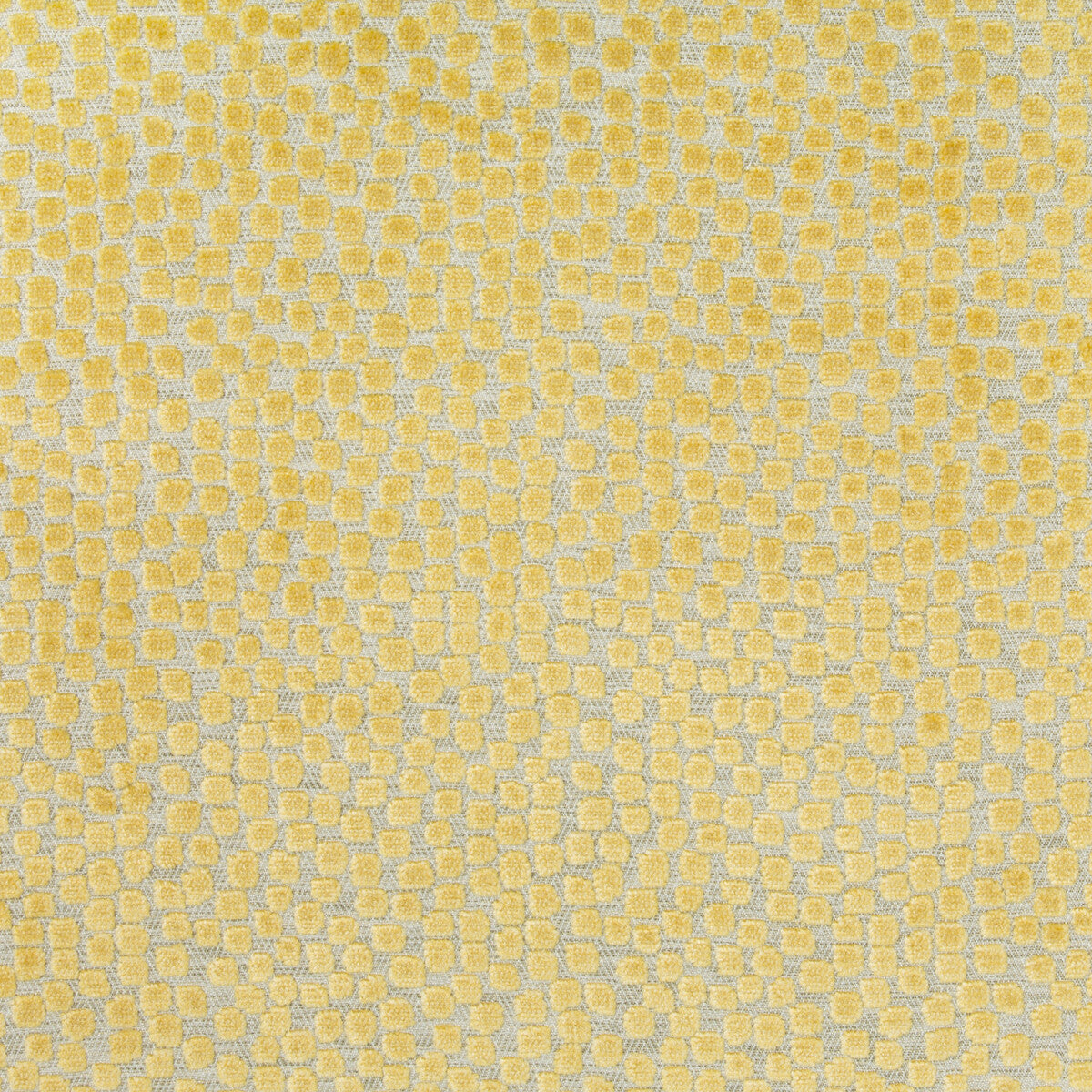 34849400-flurries-citrine-kravet-design - KRAVET DESIGN Fabric
