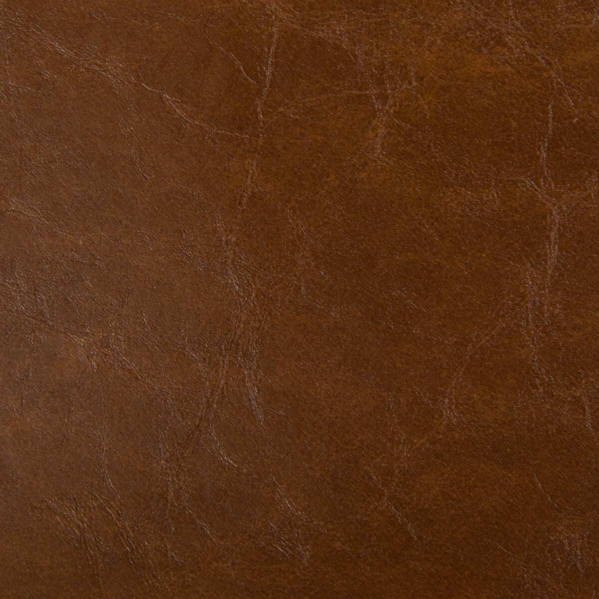 duncan60-kravet-design-duncan-6-kravet-design