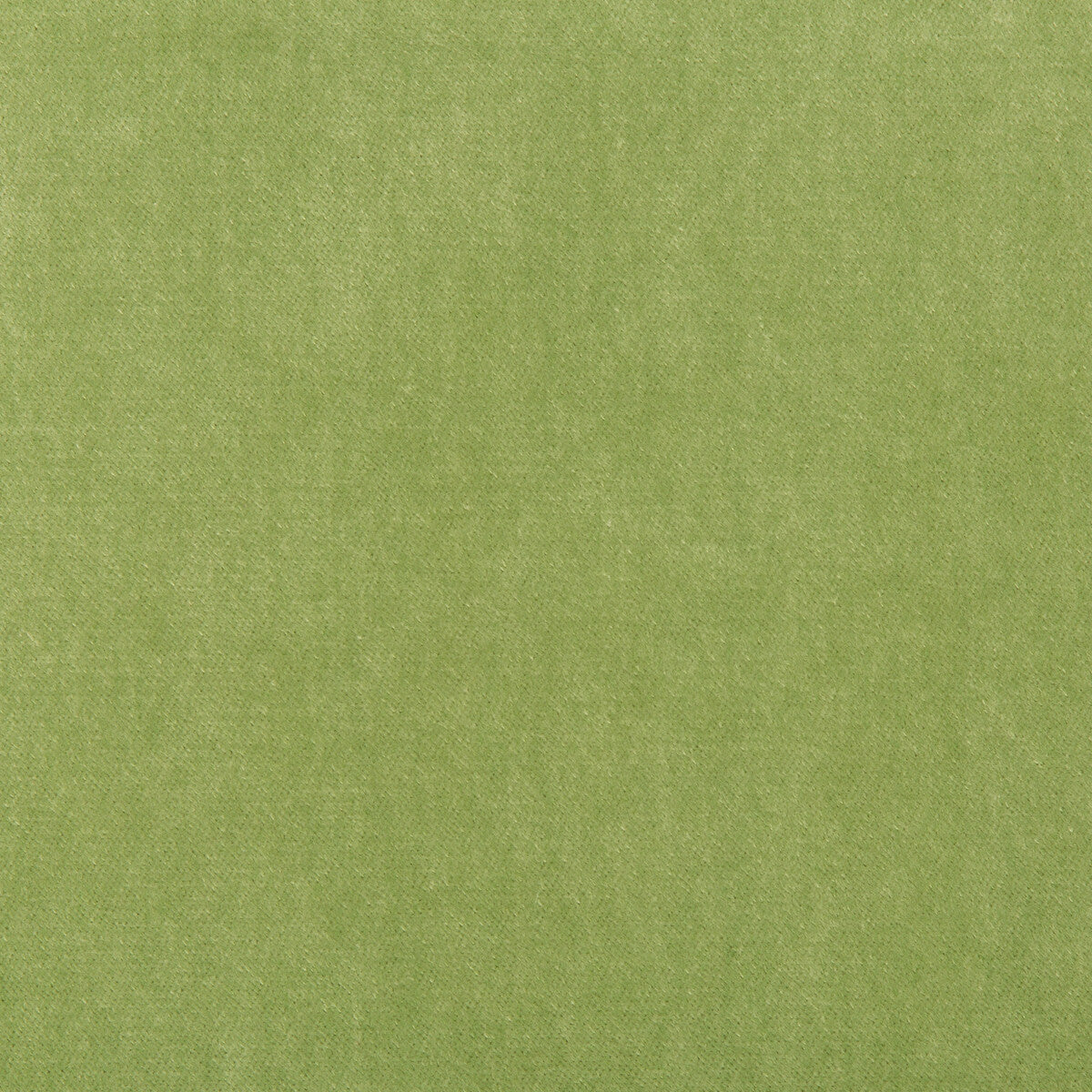 332993030-kravet-basics-33299-303 - KRAVET BASICS Fabric