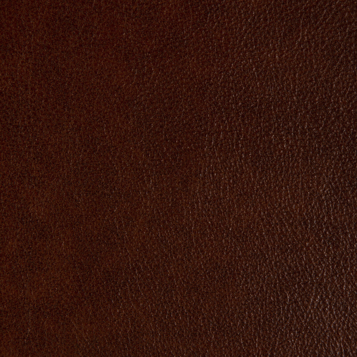 l-laramietawny0-kravet-design-l-laramie-tawny-kravet-design
