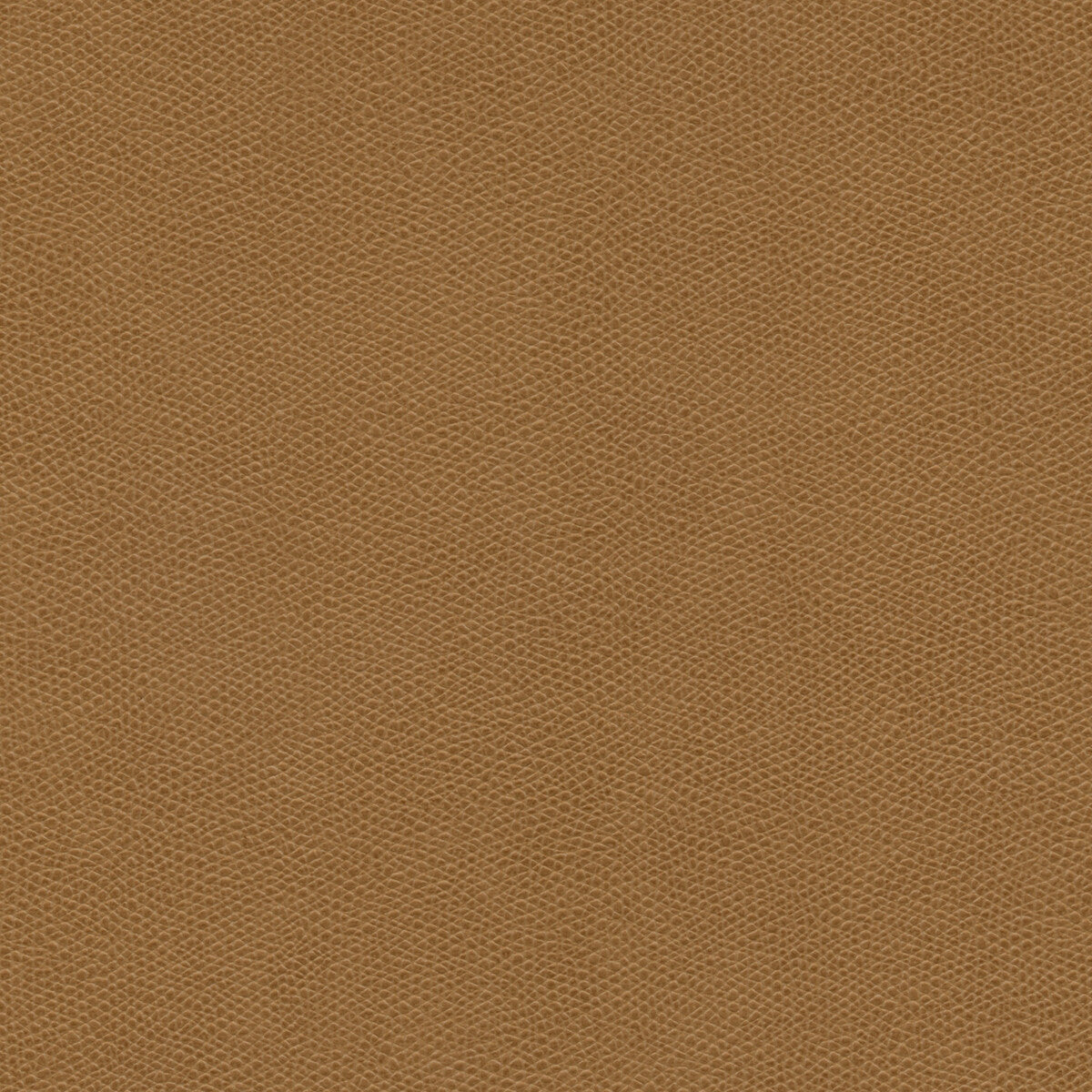 cured1660-kravet-design-cured-166-kravet-design - KRAVET DESIGN Fabric