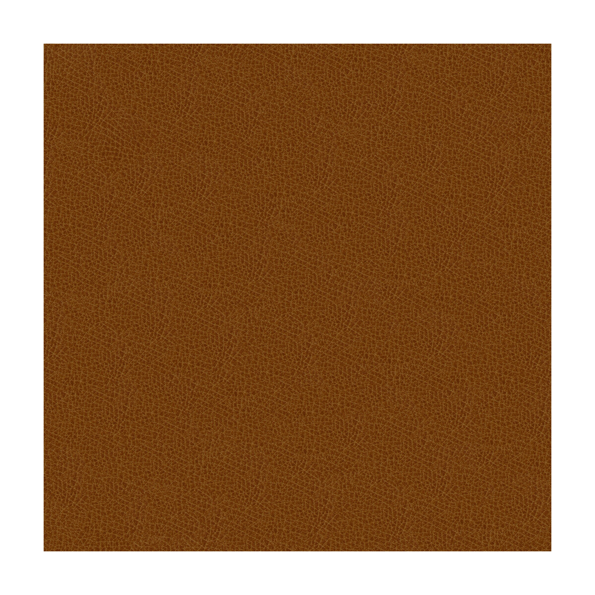 grana6160-kravet-design-grana-616-kravet-design