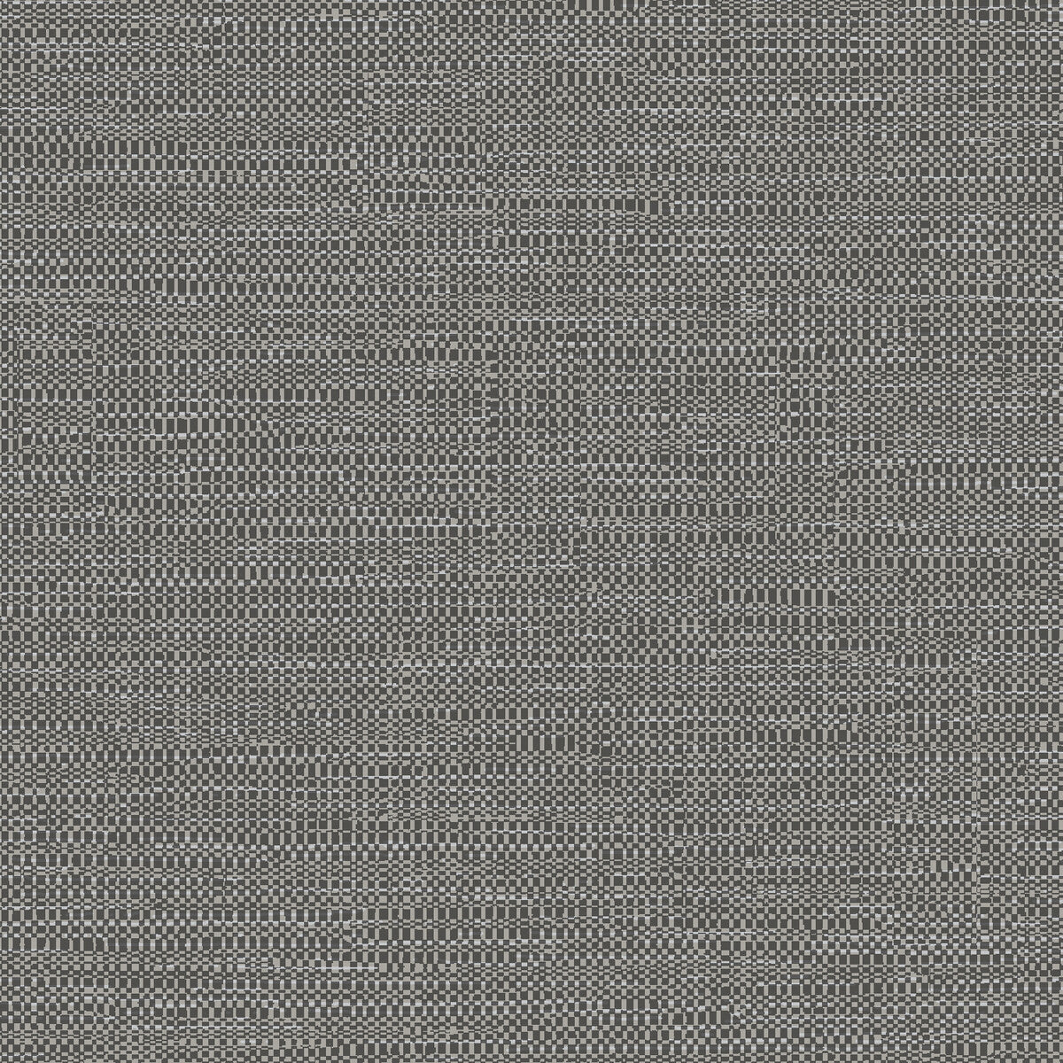 whf4116wt0-windsor-charcoal-winfield-thybony - WINFIELD THYBONY Wallpaper