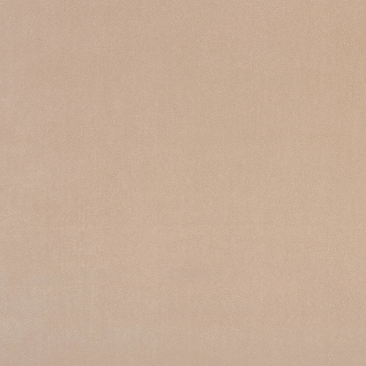 f075384cac0-alvar-nude-clarke-and-clarke - CLARKE AND CLARKE Fabric
