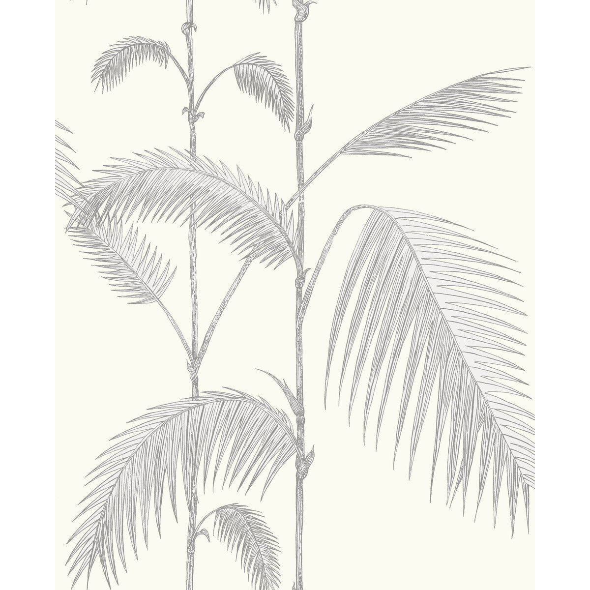 951008cs0-palm-leaves-greywhite-cole-son - COLE & SON Wallpaper
