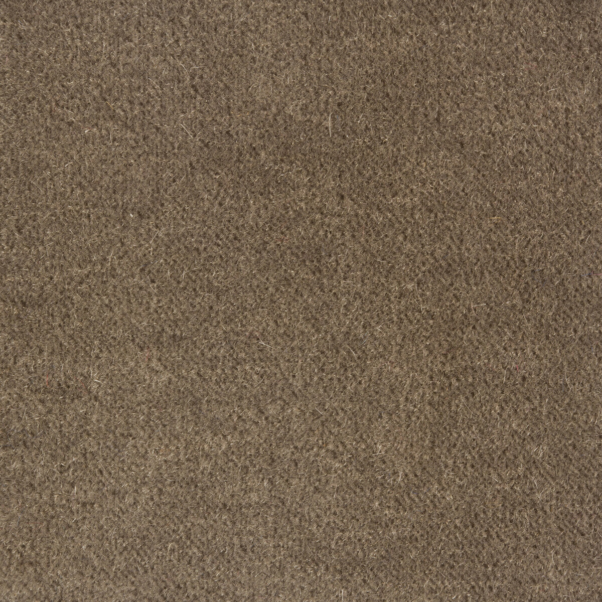 3425811110-windsor-mohair-mushroom-kravet-couture