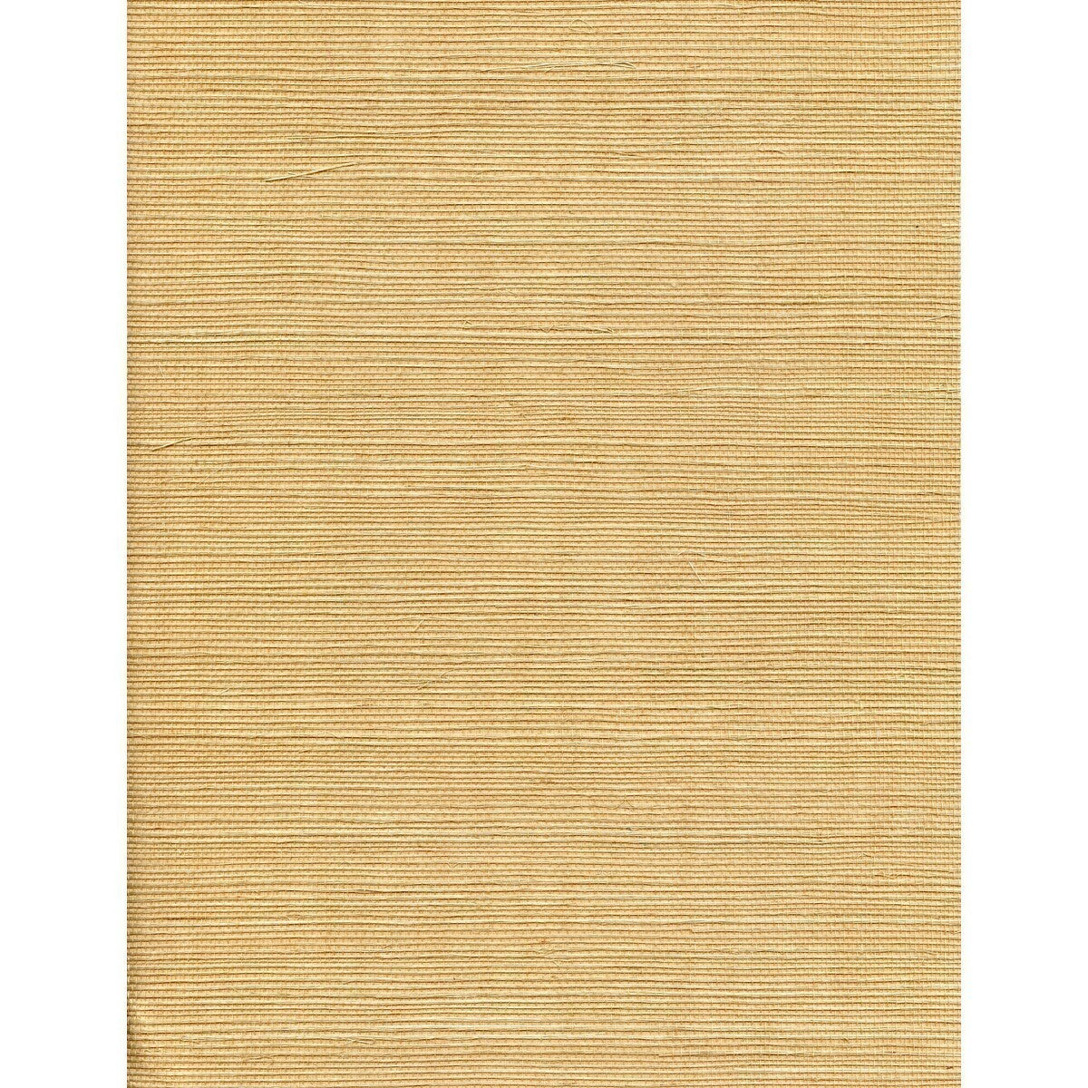 wnw2235wt0-solo-sisal-haystack-winfield-thybony - WINFIELD THYBONY Wallpaper