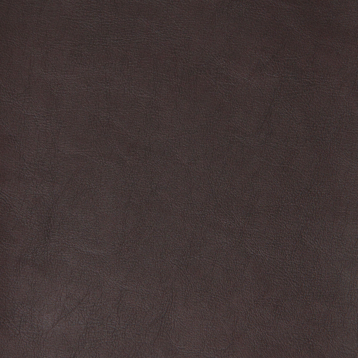 plato60-kravet-design-plato-6-kravet-design
