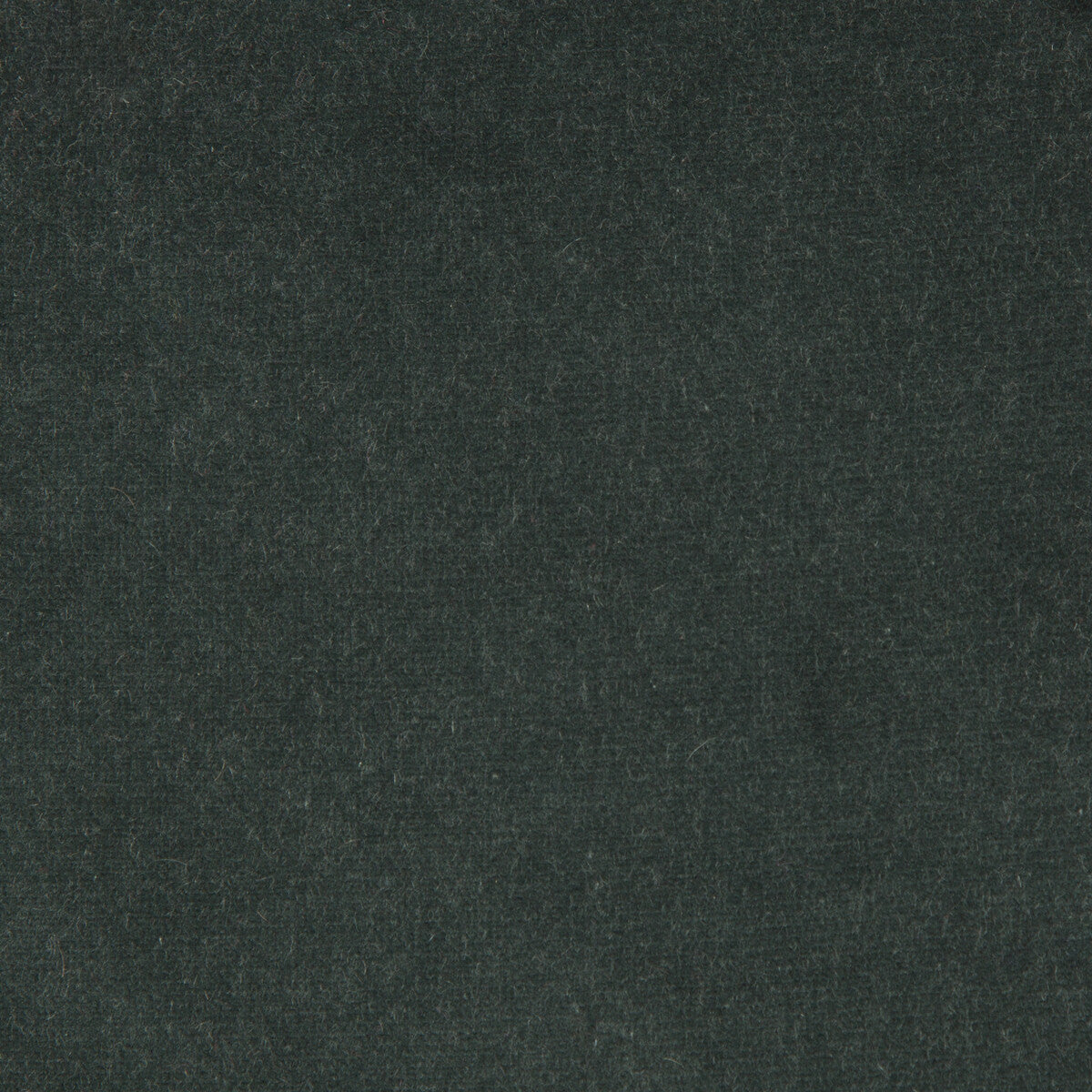 versaillese207130-kravet-design-versailles-e207130-kravet-design - KRAVET DESIGN Fabric