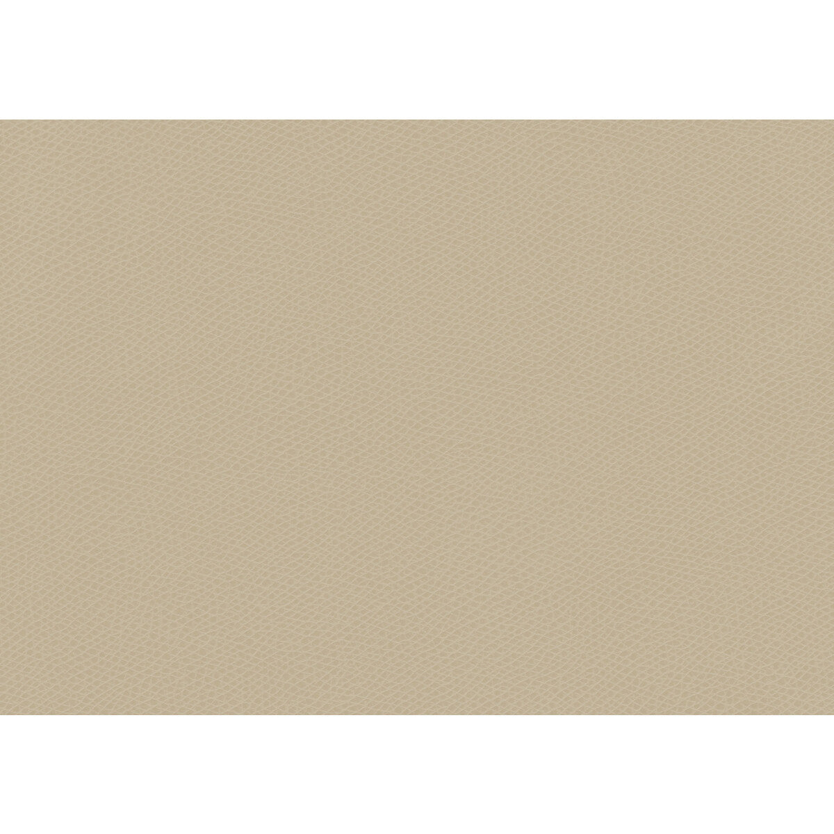 ophidian1010-ophidian-oatmeal-kravet-contract
