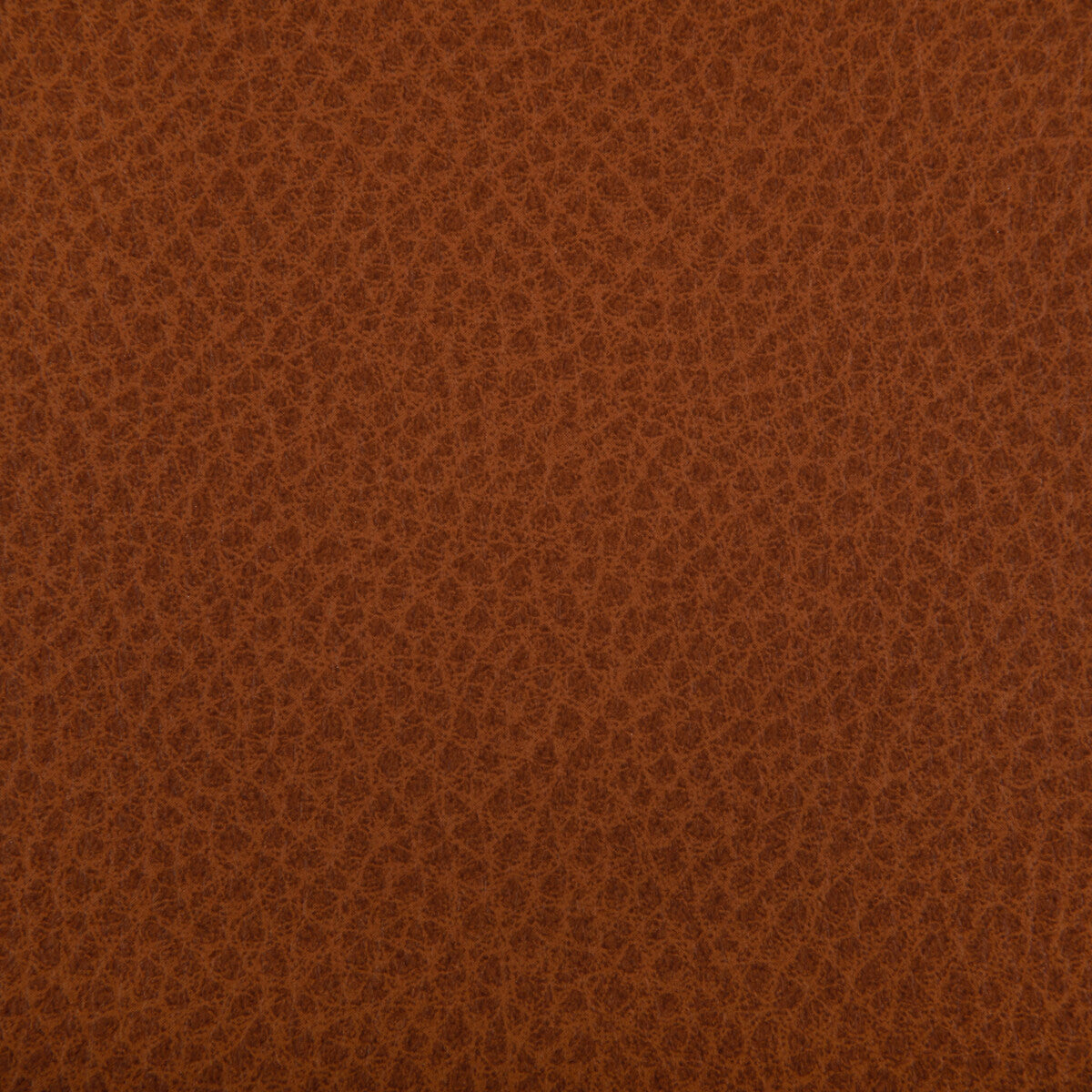 woolf240-woolf-canyon-kravet-contract