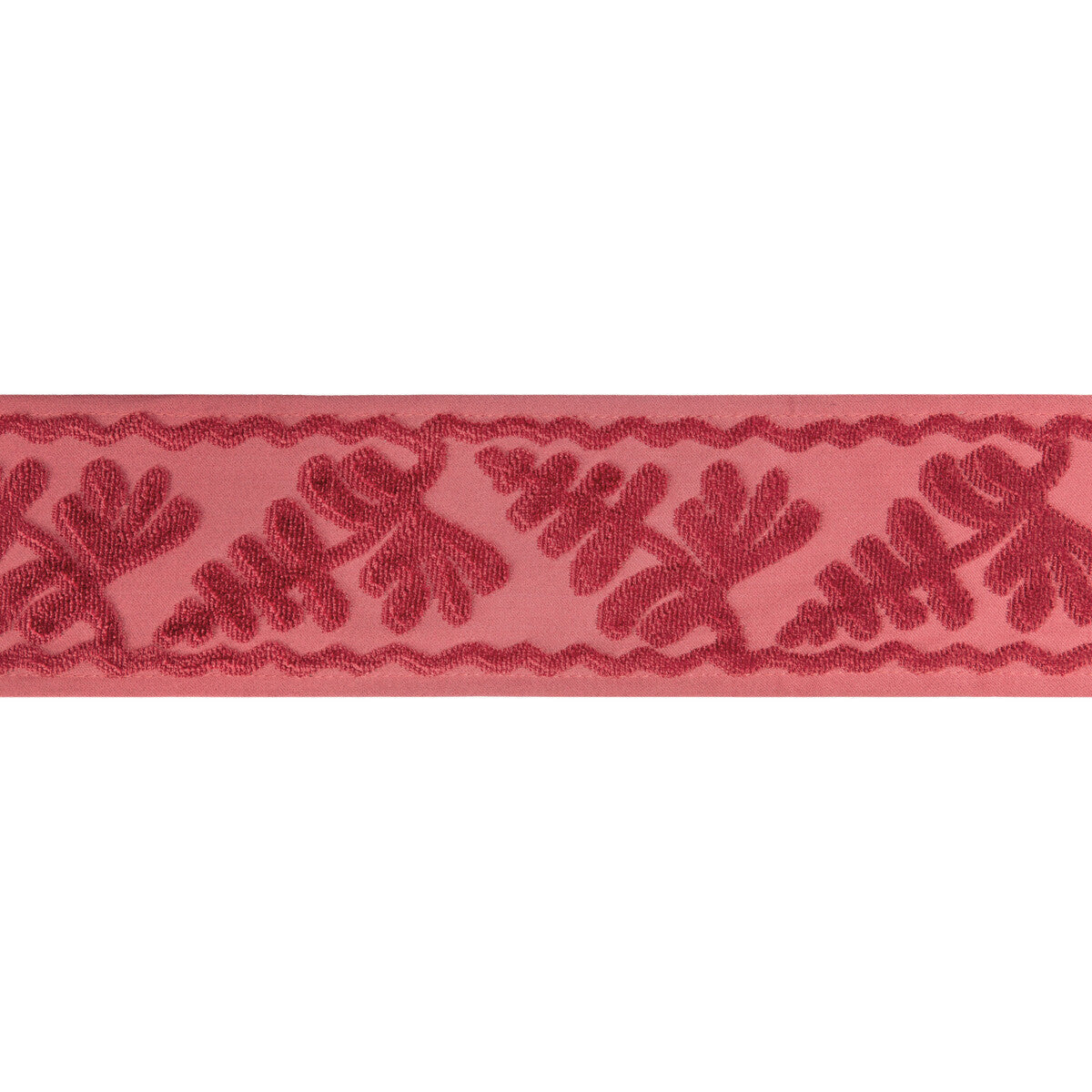 t8024101970-cassis-tape-berry-brunschwig-fils - BRUNSCHWIG & FILS Trim