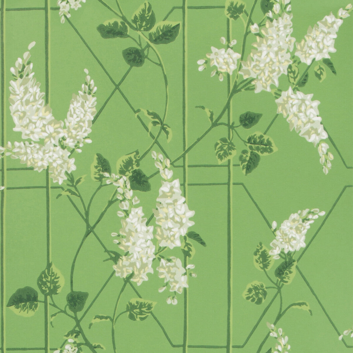 1155016cs0-wisteria-sageleaf-green-cole-son - COLE & SON Wallpaper