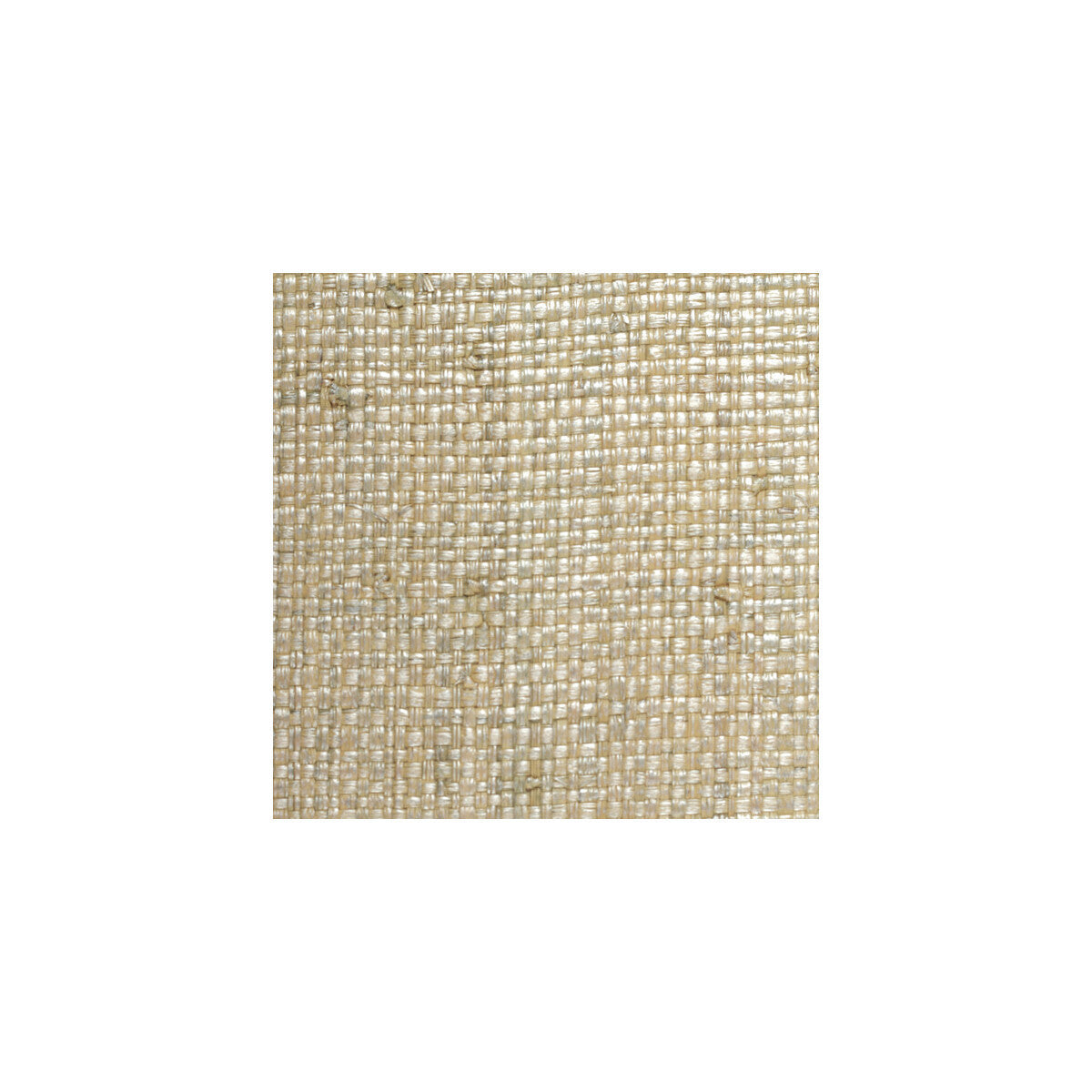 wbg5123wt0-grasscloth-0-winfield-thybony - WINFIELD THYBONY Wallpaper