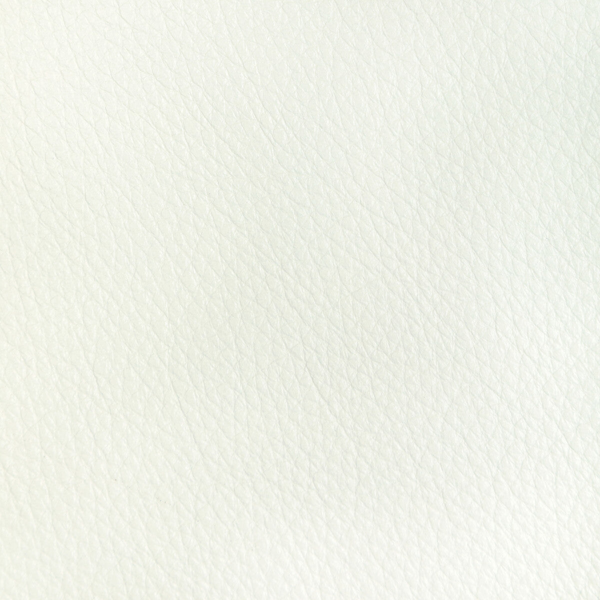 l-reatasnow0-kravet-design-l-reata-snow-kravet-design