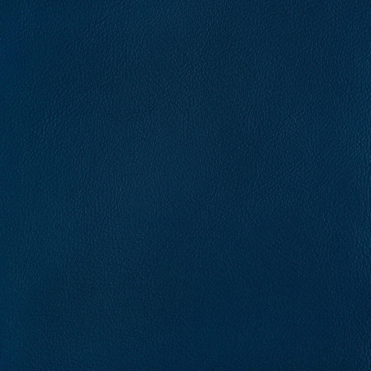 rand50-rand-sail-kravet-contract