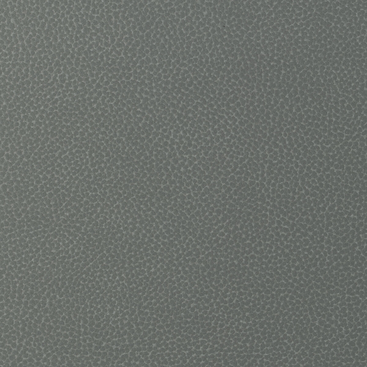 sweetgum210-kravet-design-sweetgum-21-kravet-design