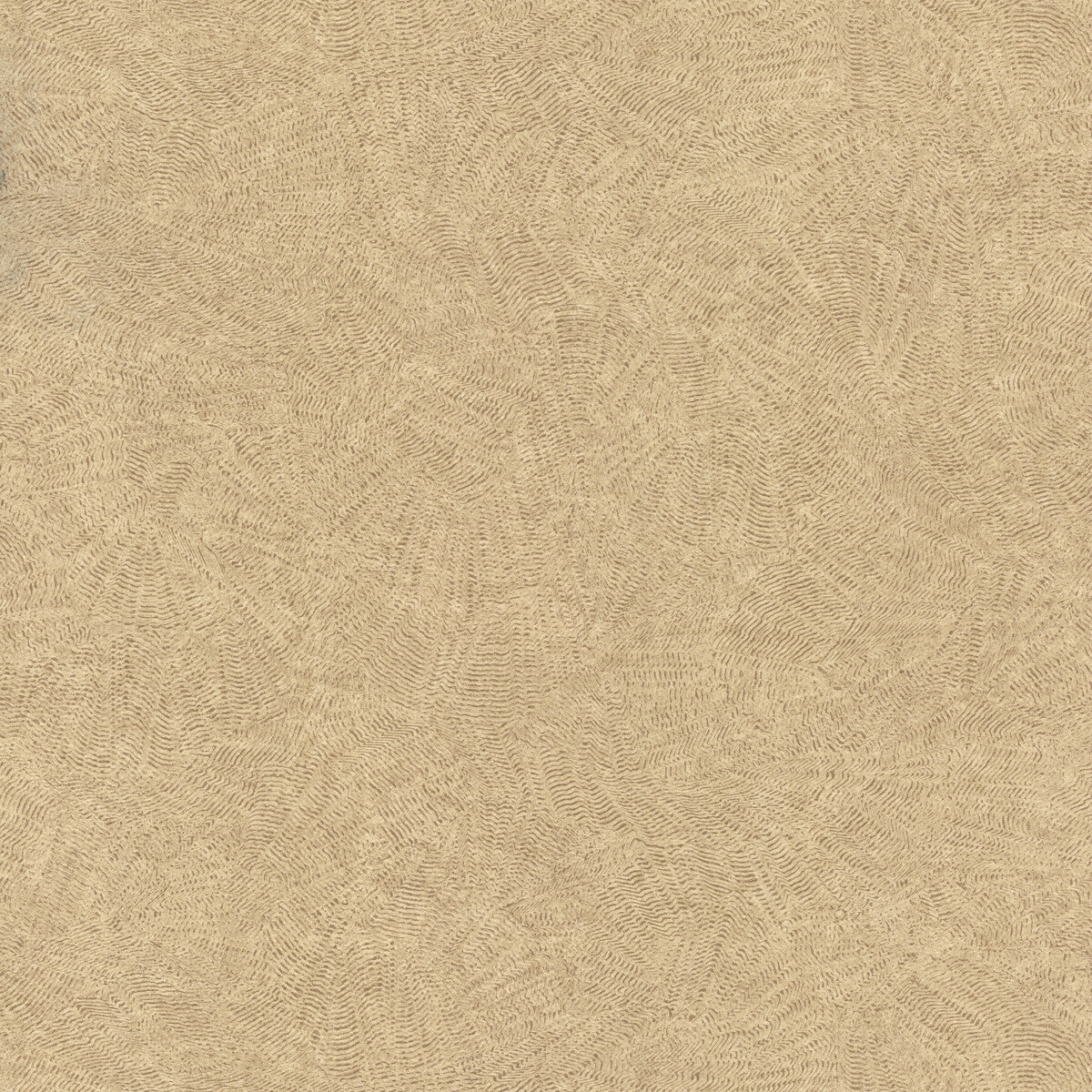 whf4157wt0-casas-sable-winfield-thybony - WINFIELD THYBONY Wallpaper