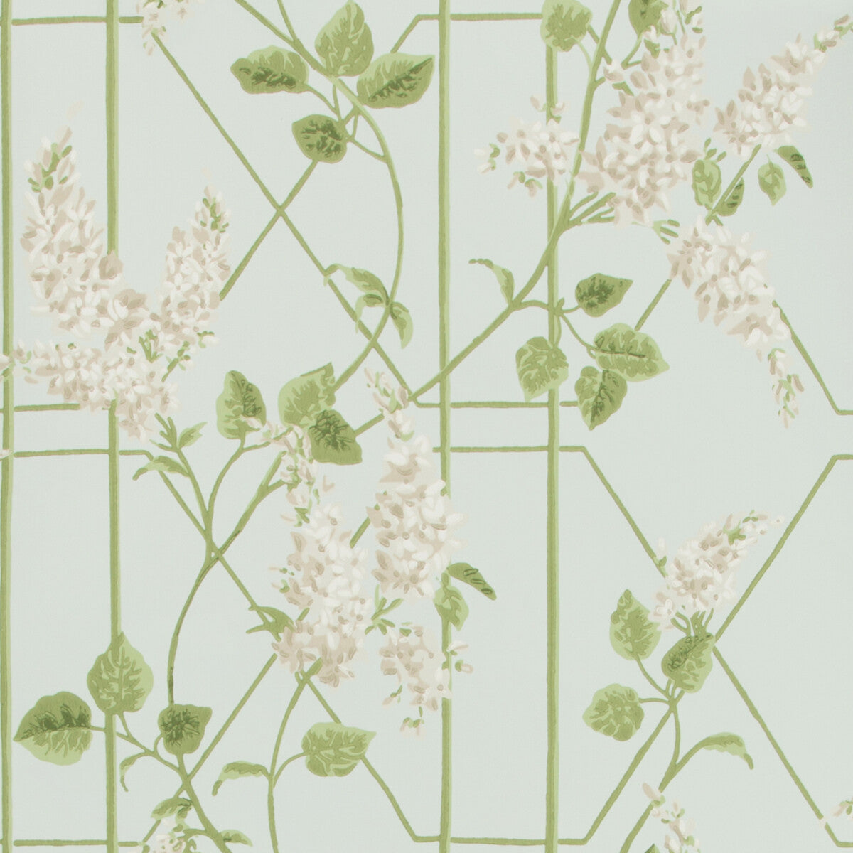1155014cs0-wisteria-stoneolived-egg-cole-son - COLE & SON Wallpaper