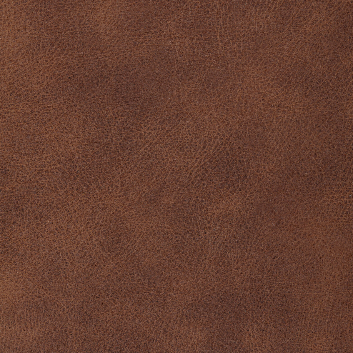l-ranchcinnamon0-kravet-design-l-ranch-cinnamon-kravet-design