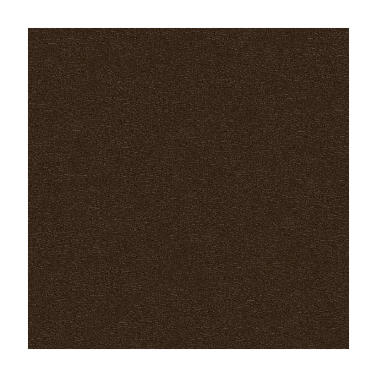 cara660-kravet-design-cara-66-kravet-design