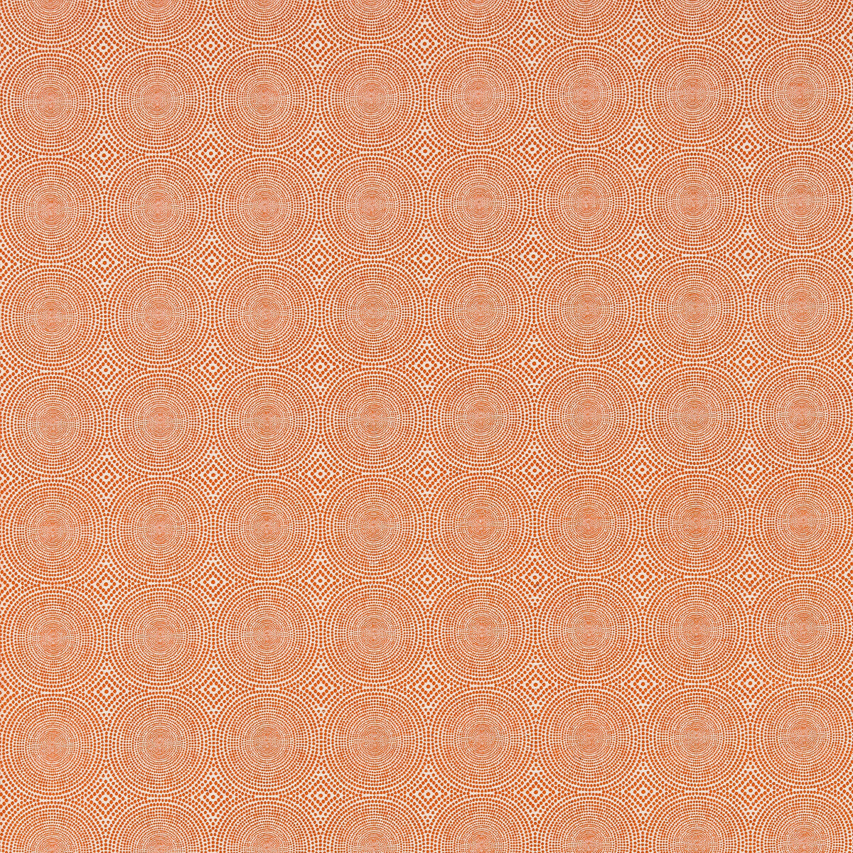 nspw131242scn0-kateri-tangerine-scion