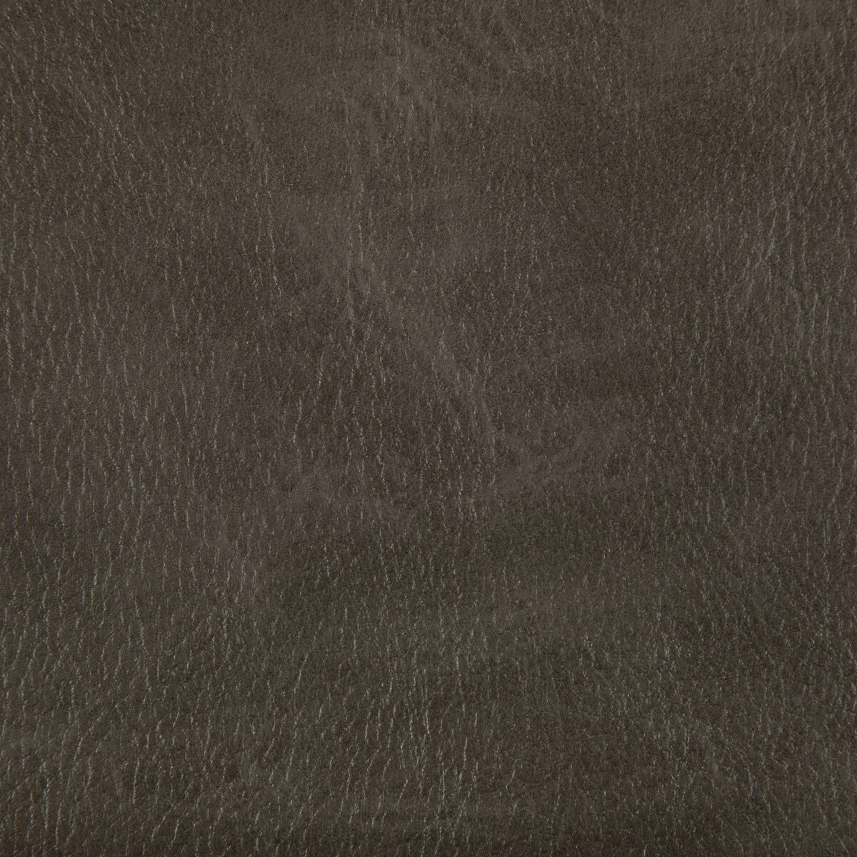 toni660-toni-rustler-kravet-contract - KRAVET CONTRACT Fabric