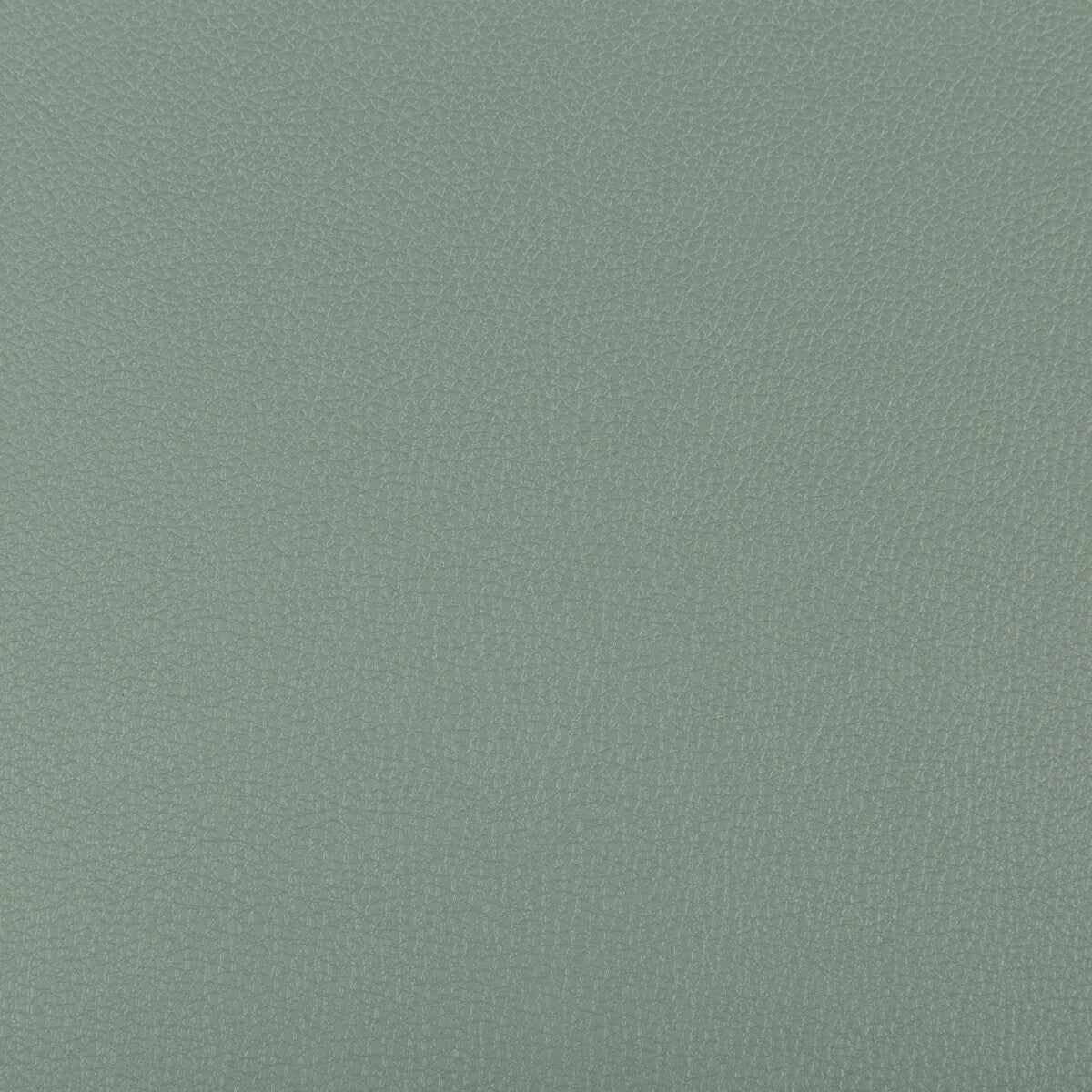 syrus35110-syrus-herbal-kravet-contract