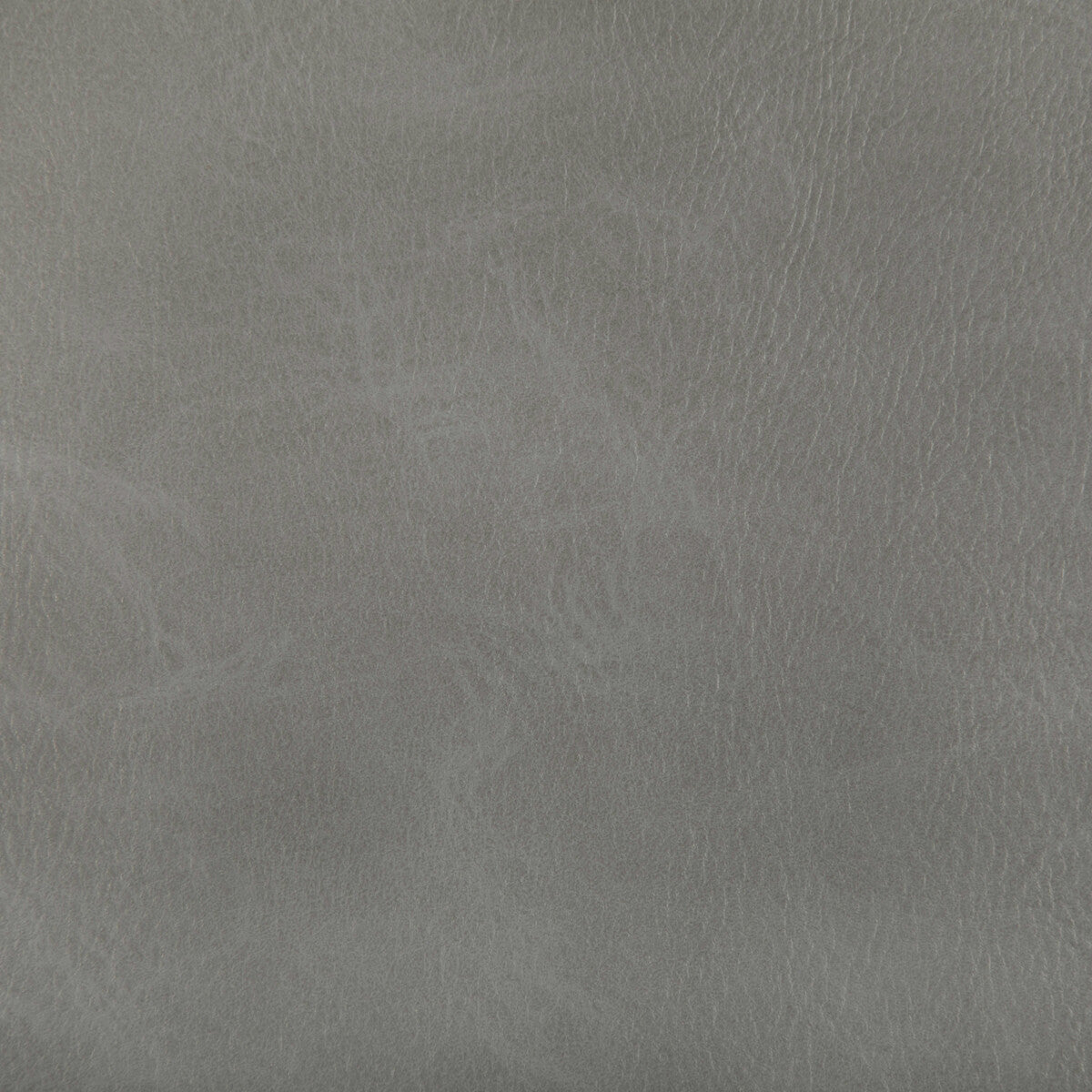 toni110-toni-spur-kravet-contract - KRAVET CONTRACT Fabric