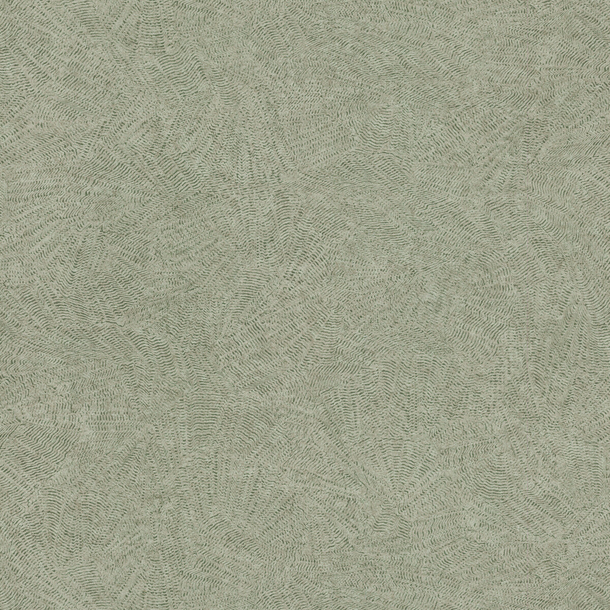 whf4163wt0-casas-drift-winfield-thybony - WINFIELD THYBONY Wallpaper