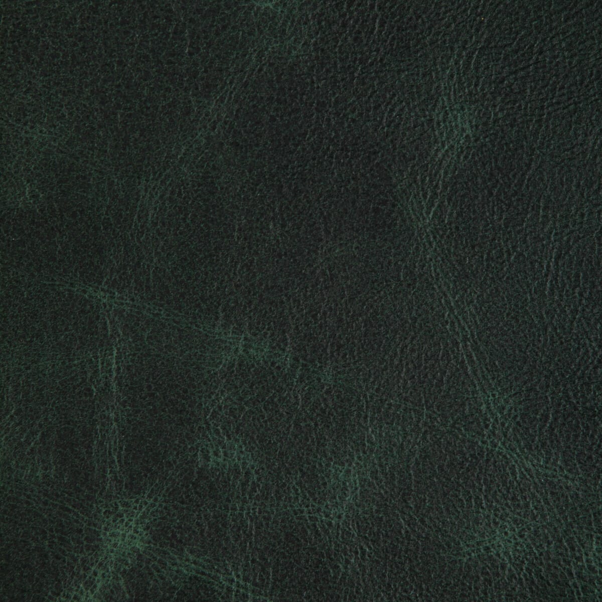 l-ovinehunter0-l-ovine-hunter-kravet-design - KRAVET DESIGN Fabric